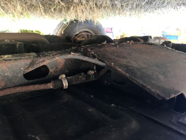 1969 royal maroon Ford Mustang