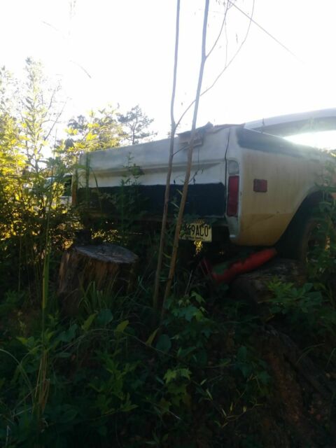 1972 Chevrolet C-10 Cab & Chassis
