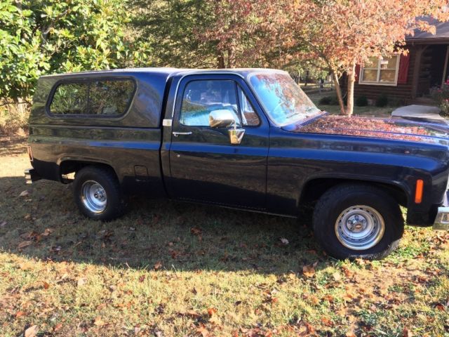 1974 Blue Chevrolet C-10 Standard Cab Pickup