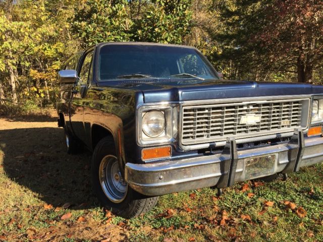 1974 Blue Chevrolet C-10 Standard Cab Pickup