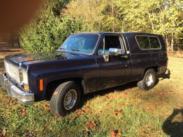 1974 Blue Chevrolet C-10 Standard Cab Pickup