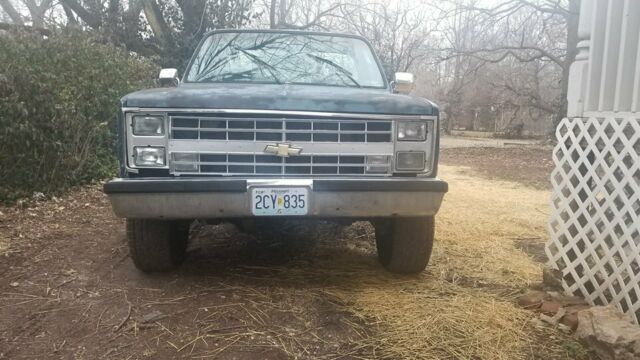 1974 Blue Chevrolet C/K Pickup 1500 Standard Cab Pickup