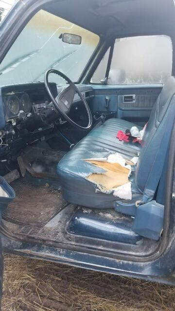 1974 Blue Chevrolet C/K Pickup 1500 Standard Cab Pickup