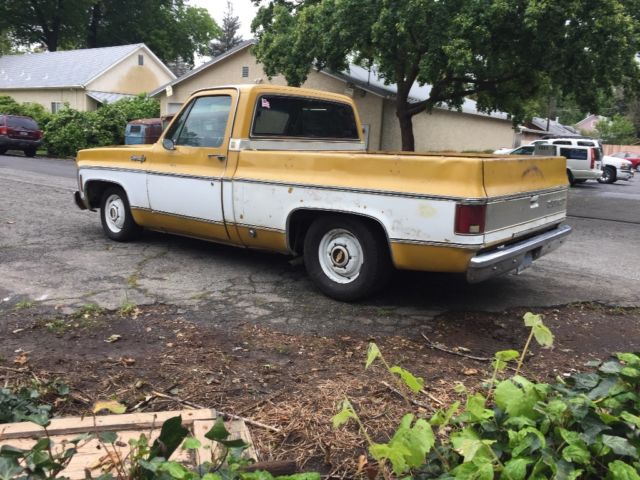 1974 Gold Chevrolet C-10 Standard Cab Pickup