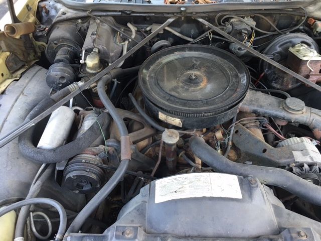 1974 Oldsmobile Cutlass