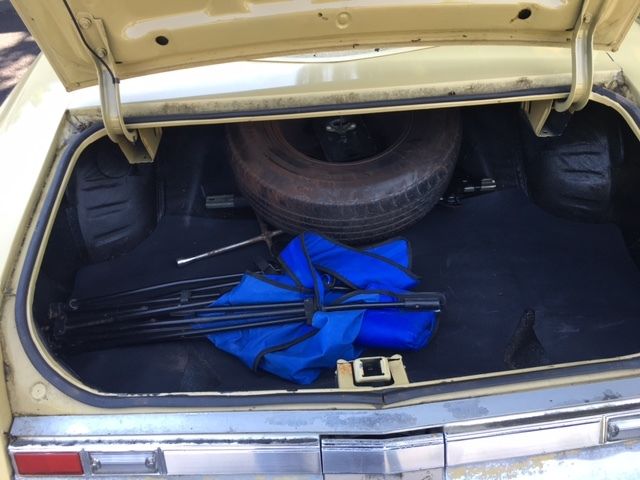 1974 Oldsmobile Cutlass