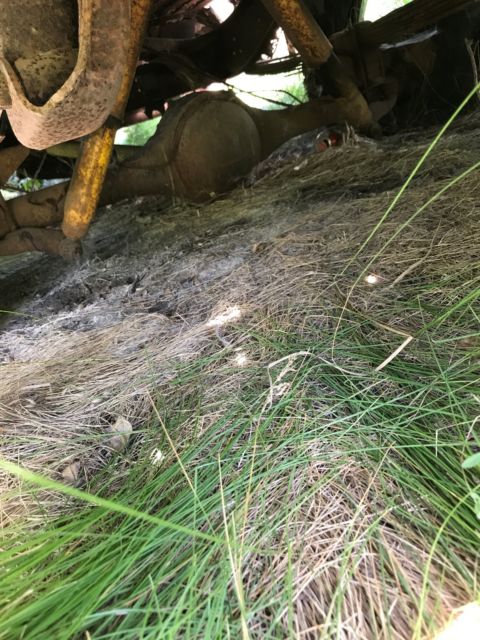 1974 Dodge Power Wagon