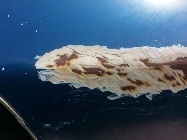 1974 Pontiac Firebird