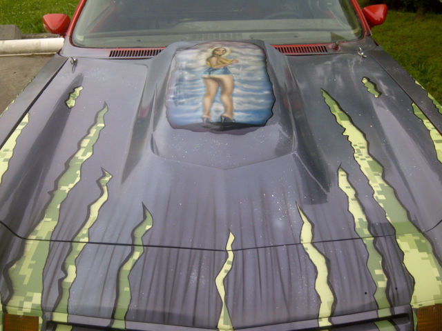 1974 Red, Gray, Green Chevrolet Other Hatchback