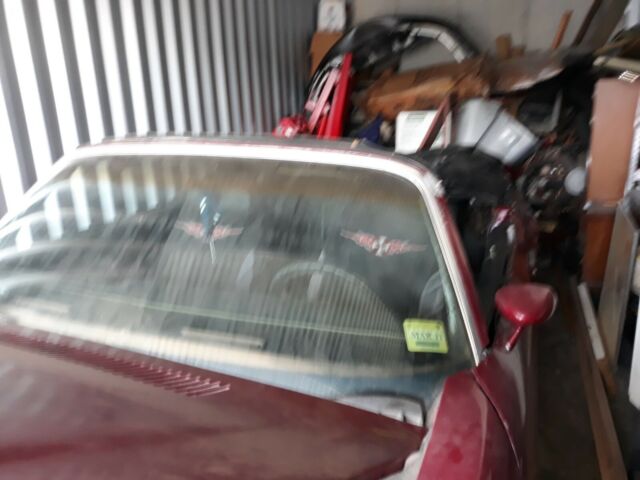 1975 PURPLE Pontiac Firebird Convertible