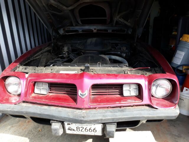 1975 PURPLE Pontiac Firebird Convertible