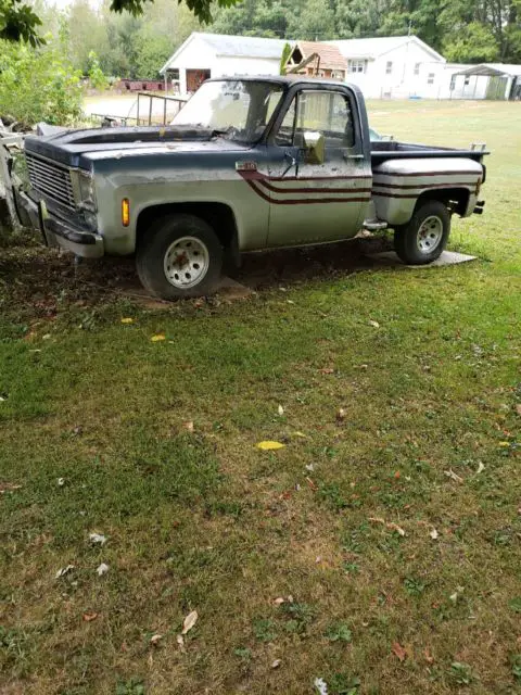 76 chevy c10 truck for sale: photos, technical specifications, description