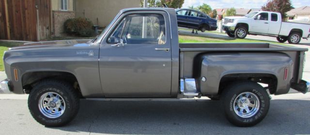 1976 Gray Chevrolet C/K Pickup 1500