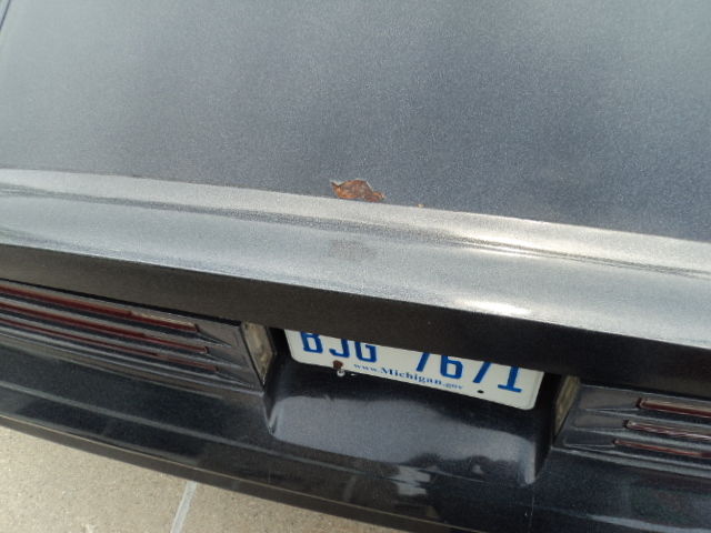 1976 multi-color Pontiac Trans Am Coupe