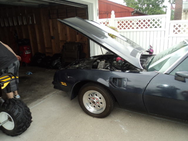 1976 multi-color Pontiac Trans Am Coupe