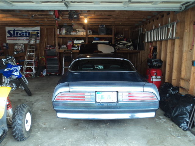 1976 multi-color Pontiac Trans Am Coupe
