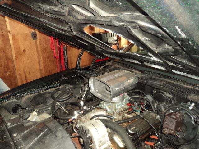 1976 multi-color Pontiac Trans Am Coupe