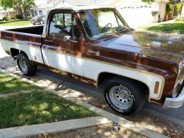 1977 Chevrolet C-10 Reg cab short bed