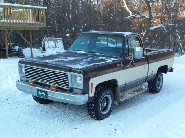 1977 Brown Chevrolet C/K Pickup 1500 Standard Cab Pickup