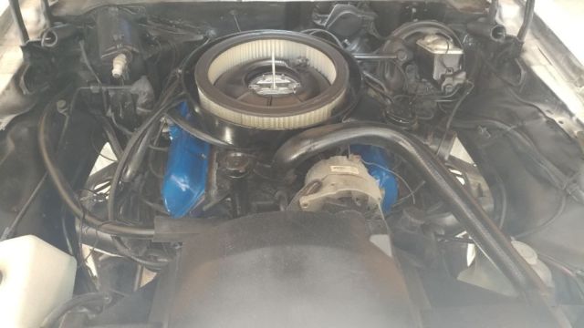 1977 White perl Pontiac Trans Am Coupe