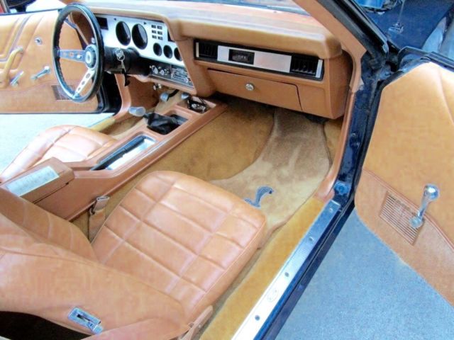 1978 Blue Ford Mustang