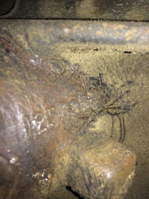 1979 Black Pontiac Trans Am Coupe