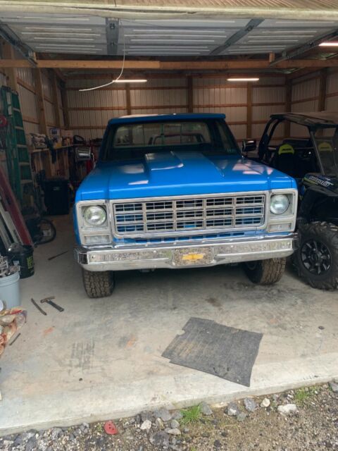 1979 Blue Chevrolet C/K Pickup 2500 Standard Cab Pickup