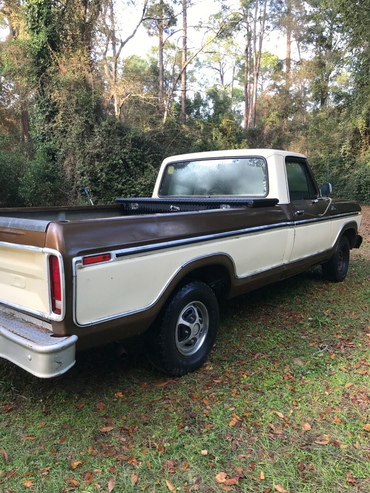 1979 Brown Ford F-150 Standard Cab Pickup