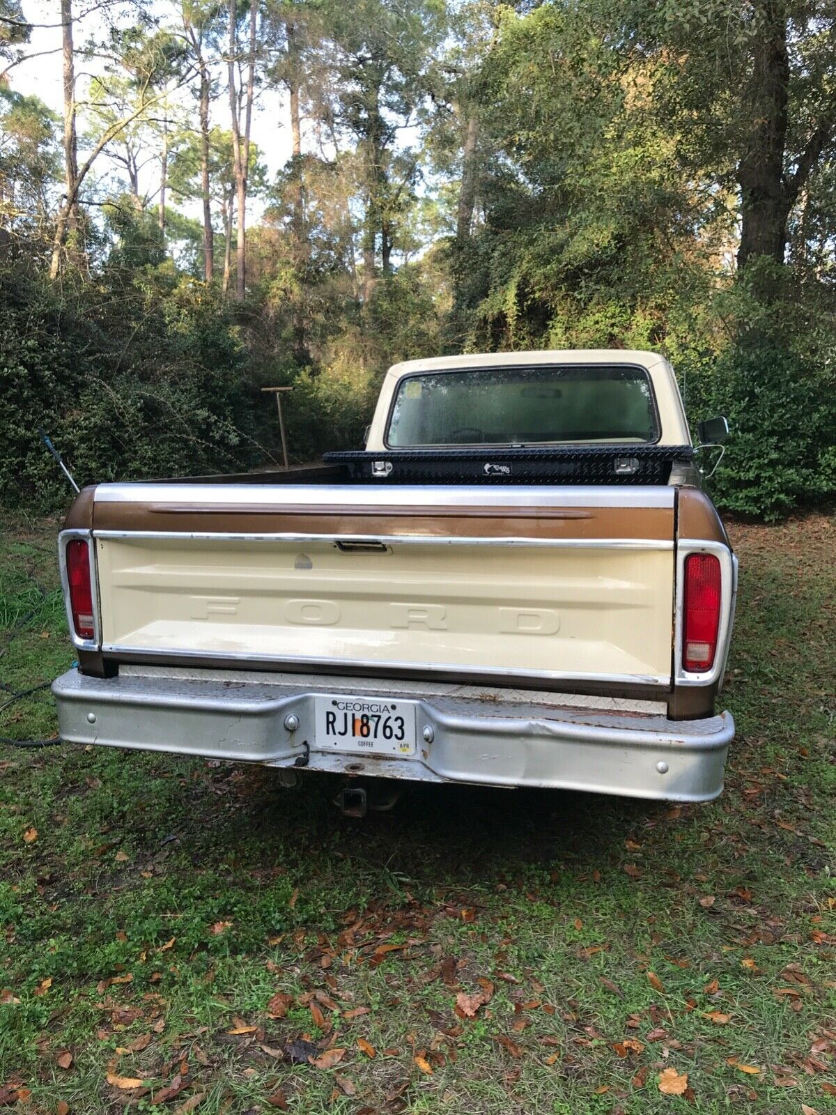 1979 Brown Ford F-150 Standard Cab Pickup