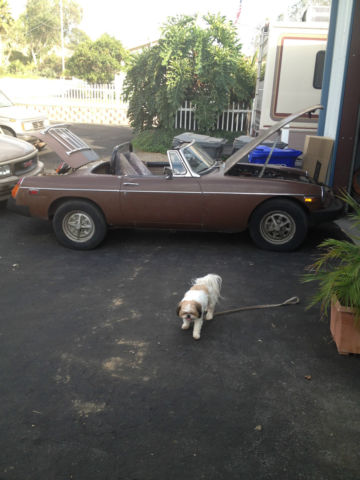 1979 Brown MG MGB Convertible