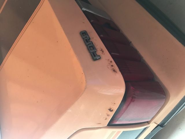 1979 Ford Mustang Hatchback