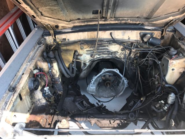 1979 Ford Mustang Hatchback