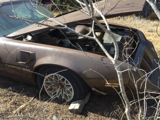 1978 Brown Pontiac Firebird Coupe