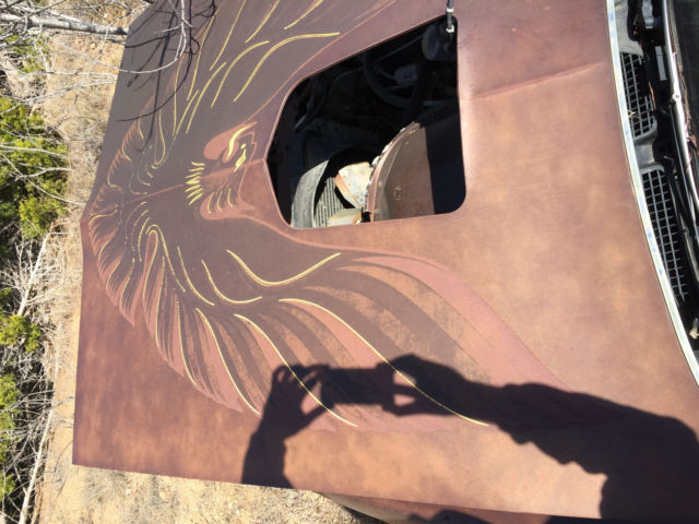 1978 Brown Pontiac Firebird Coupe