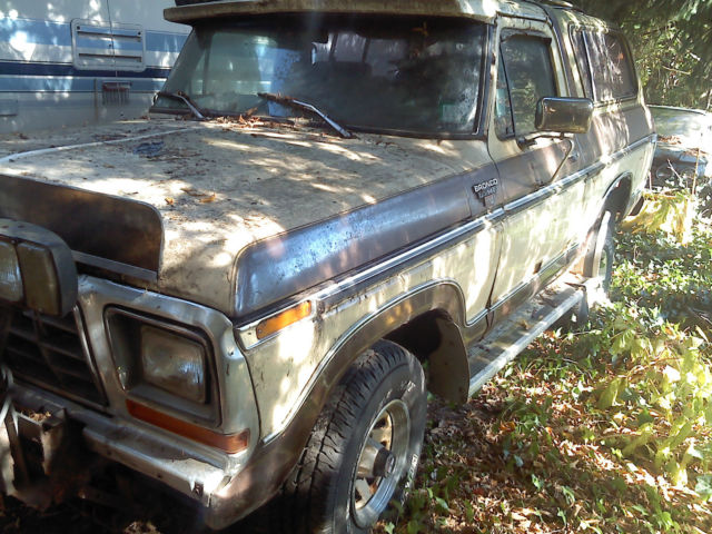 1979 Brown Ford Bronco