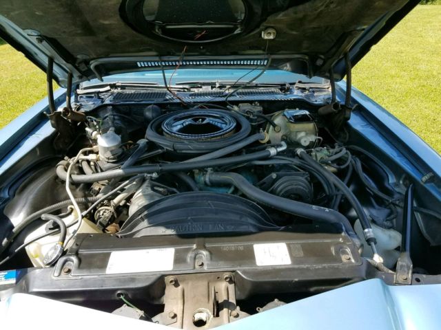 1981 Blue Chevrolet Camaro Coupe