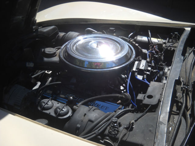 1981 BIEGE Chevrolet Corvette Coupe