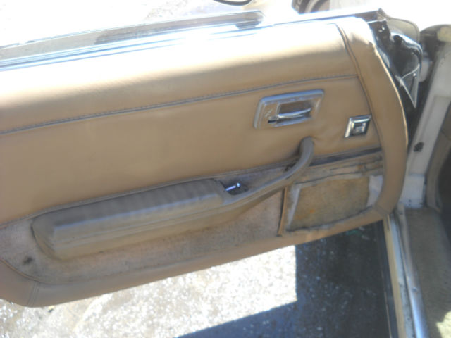 1981 BIEGE Chevrolet Corvette Coupe