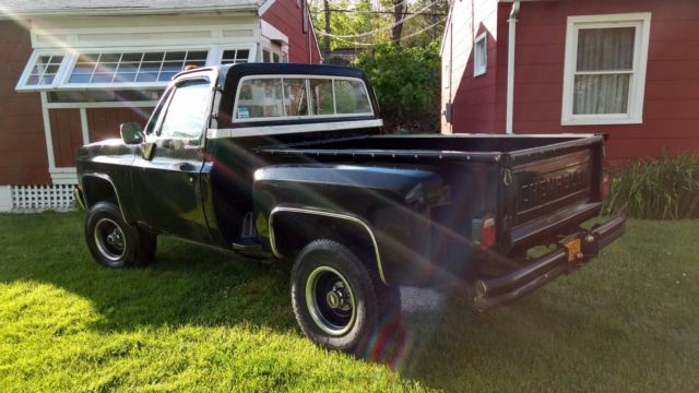 1981 Black Chevrolet Other Pickups