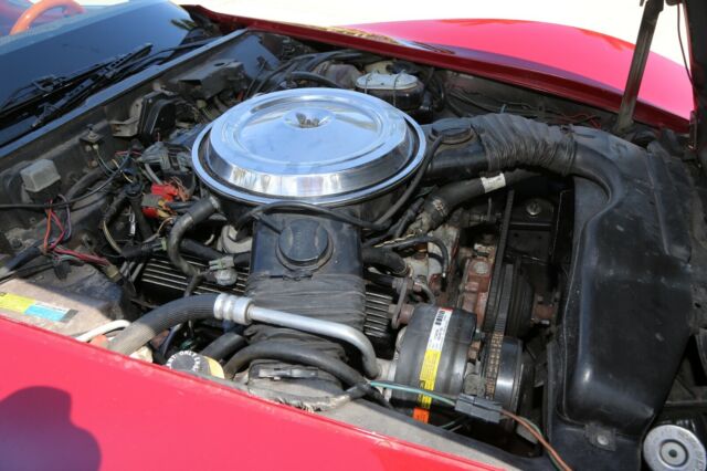 1981 Red Chevrolet Corvette Coupe