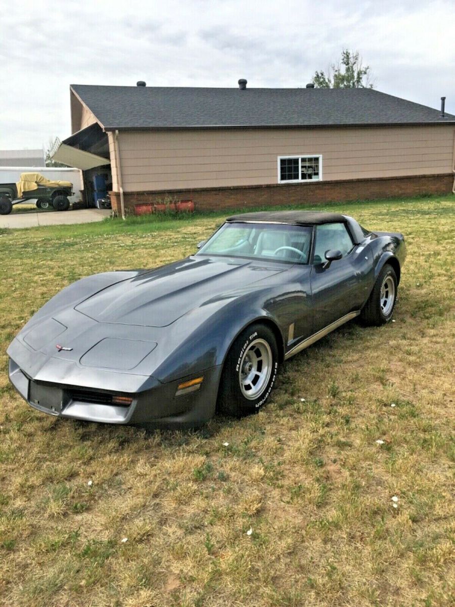 1981 Gray Chevrolet Corvette Coupe