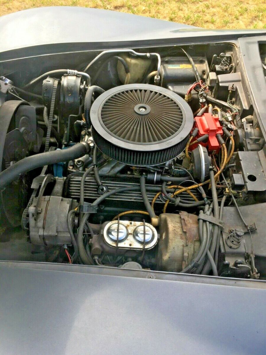 1981 Gray Chevrolet Corvette Coupe