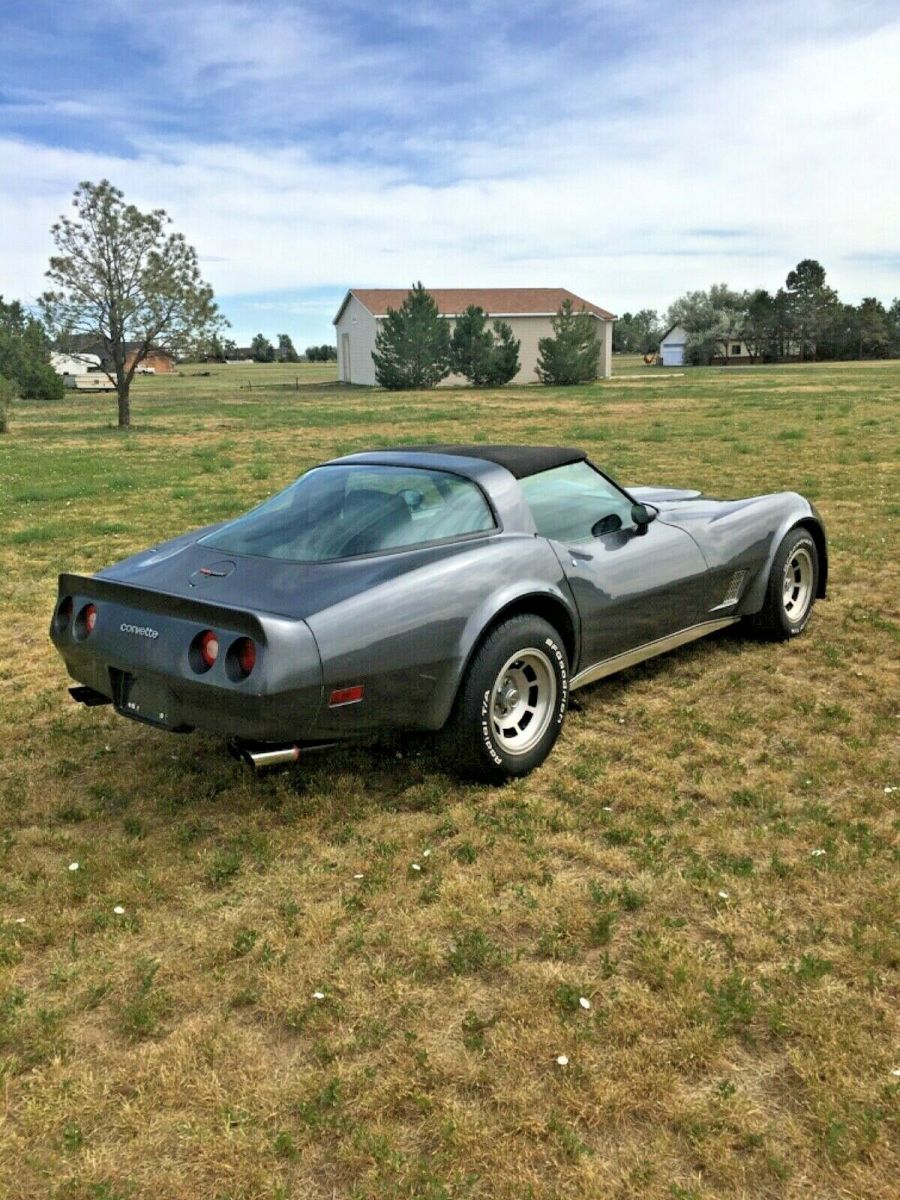 1981 Gray Chevrolet Corvette Coupe