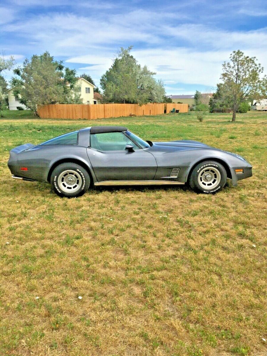 1981 Gray Chevrolet Corvette Coupe