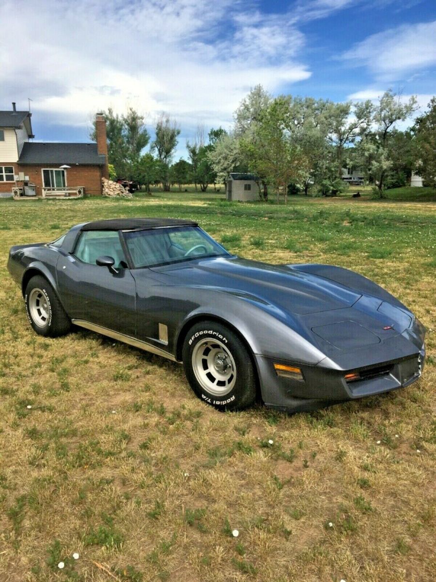 1981 Gray Chevrolet Corvette Coupe