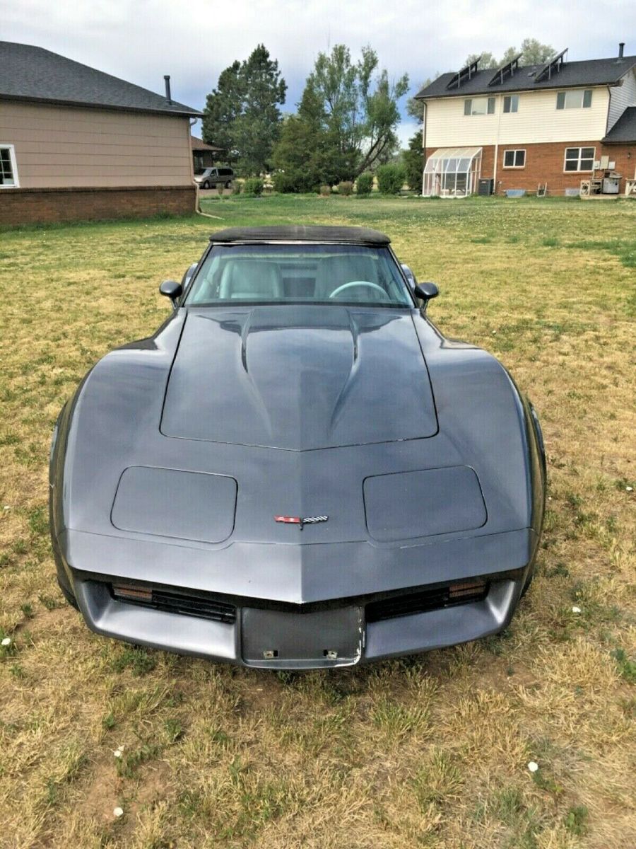 1981 Gray Chevrolet Corvette Coupe