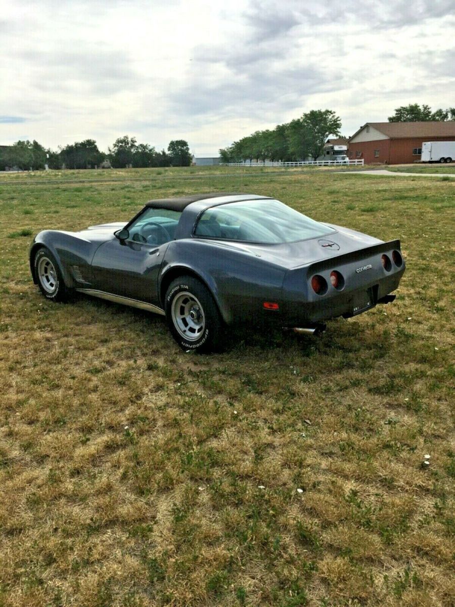 1981 Gray Chevrolet Corvette Coupe