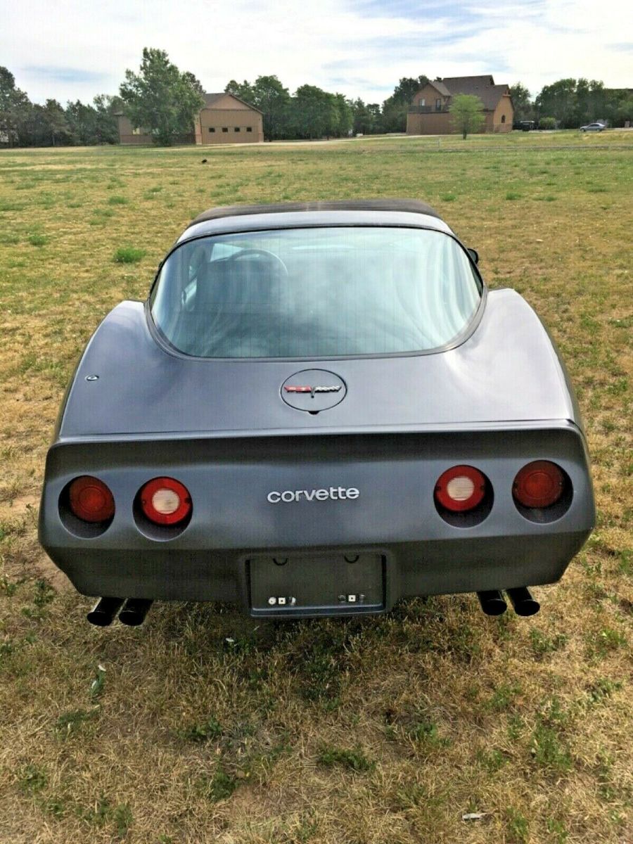 1981 Gray Chevrolet Corvette Coupe