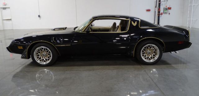 1981 Pontiac Trans Am