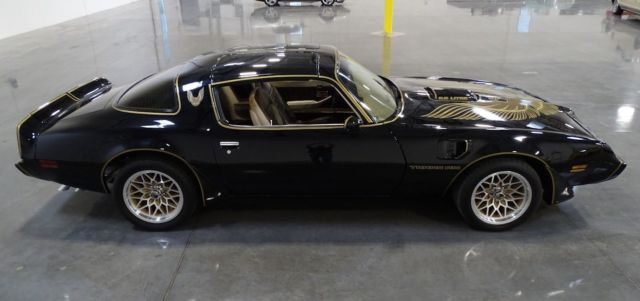 1981 Pontiac Trans Am